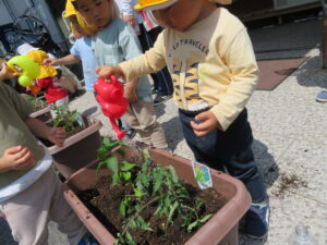 やさいさん、おおきくなあれ！