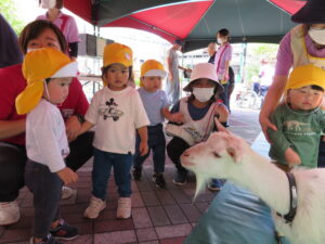 動物さんたちとふれあいました♫